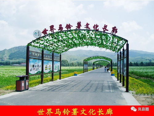 探索土豆花海與飲馬池景區的獨特魅力與游覽管理